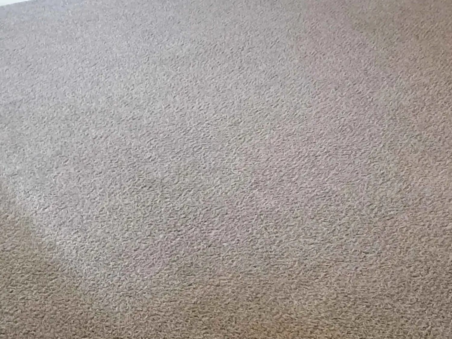 Carpet cleaning in Dentsville, SC: a customer story from a well-kept home