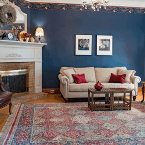 Best rug cleaning service