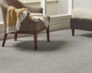 Modern home with clean carpet (2)