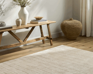 Modern home with clean carpet (2)