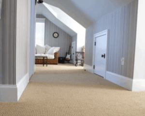Modern home with clean carpet