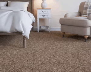 Modern home with clean carpet
