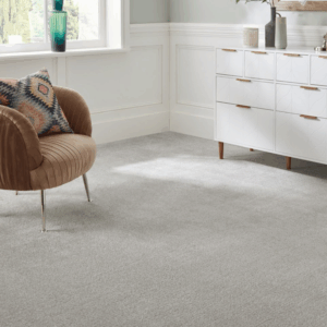 Modern home with clean carpet