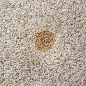 Carpet spot reappearing due to stain residue rather than general soil