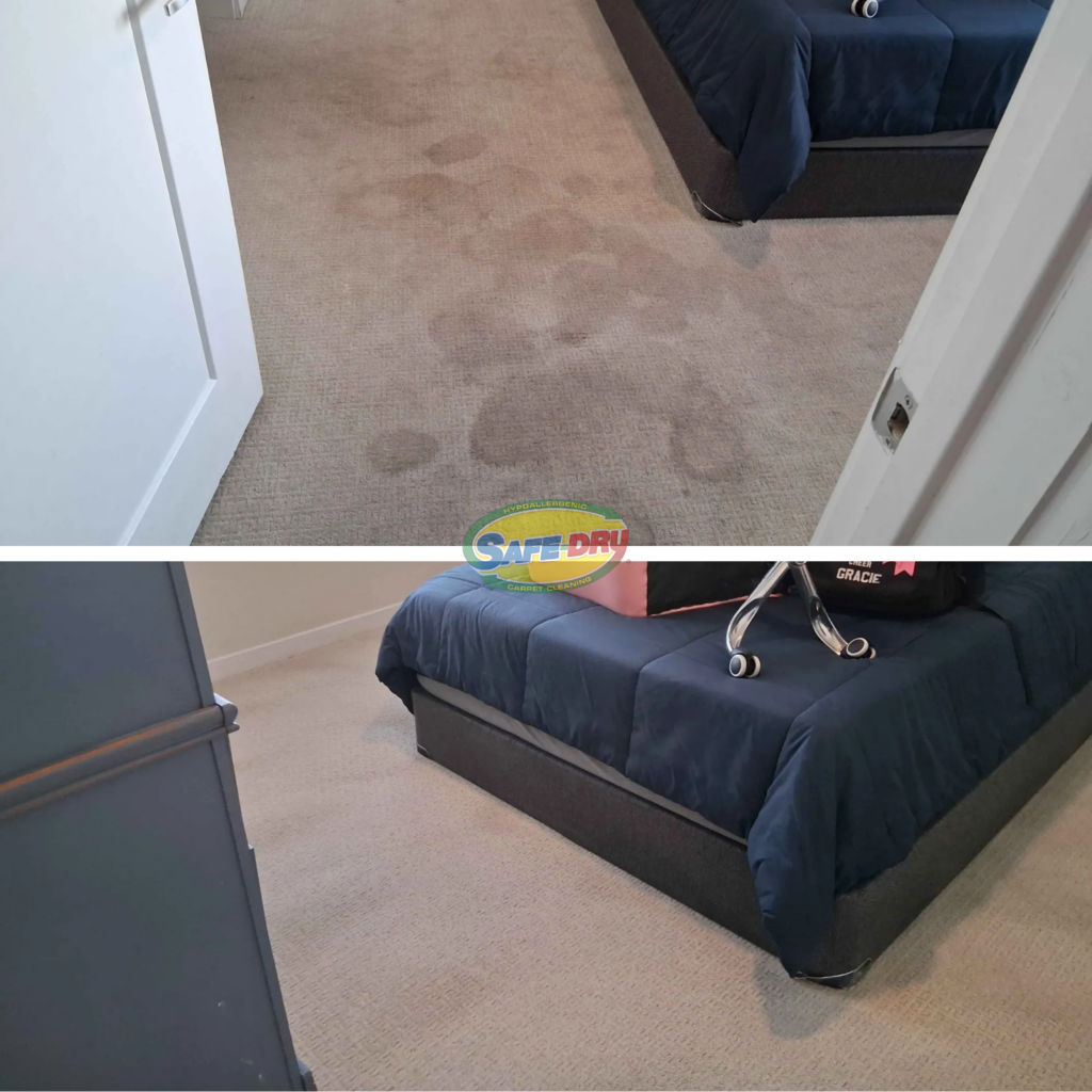 Before and After Carpet Cleaning